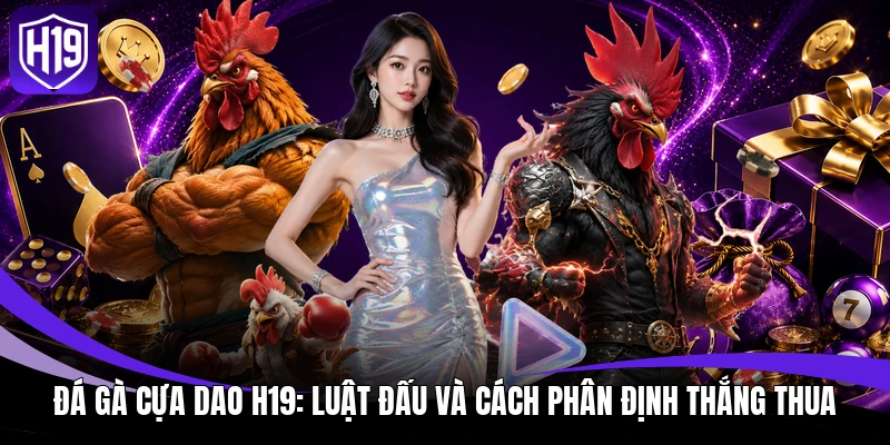 Đá Gà Cựa Dao H19: Luật Đấu Và Cách Phân Định Thắng Thua 1 Đá gà cựa dao