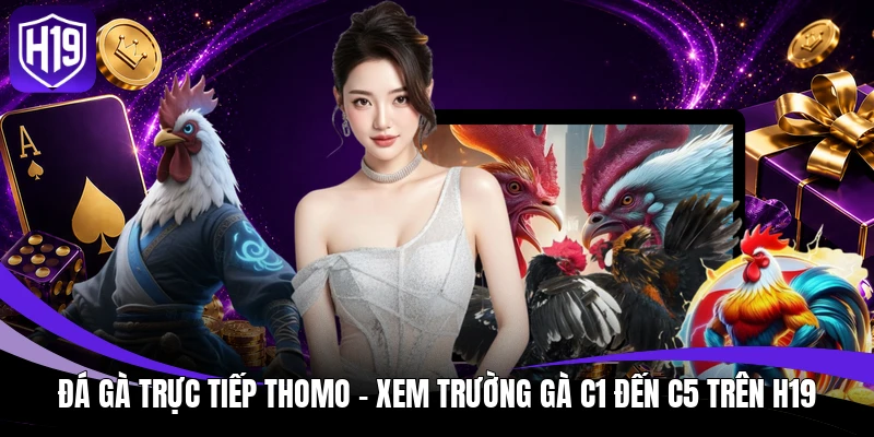 Đá gà trực tiếp Thomo